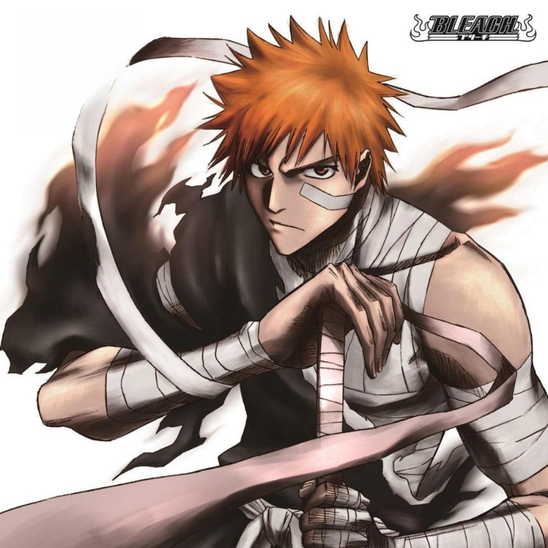 Game Bleach Sagisu Shiro Music - Party Games Gifts recensie en prijs